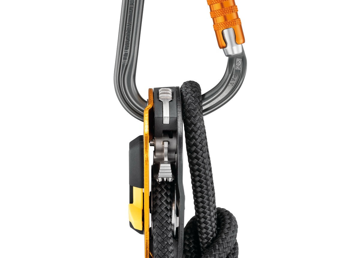 Petzl WILLIAM TRIACT-LOCK Large-capacity Carabiner