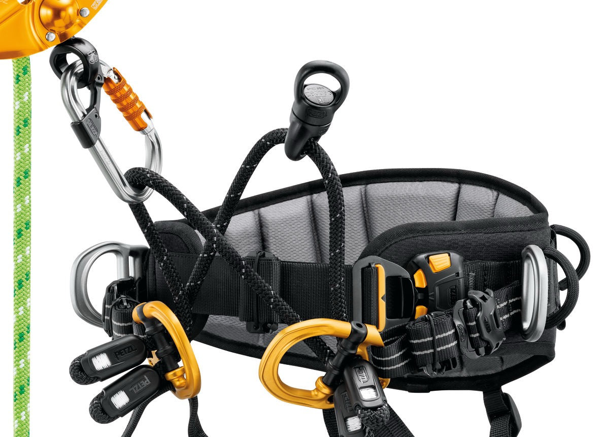 Petzl SEQUOIA® Tree Care Harness