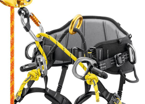 Petzl SEQUOIA® Classic Comfortable Tree Care Harness