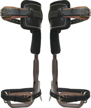 CLIMB RIGHT POLE CLIMBERS WITH 