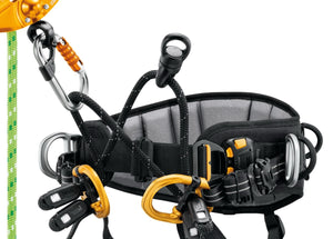 Petzl SEQUOIA® Tree Care Harness
