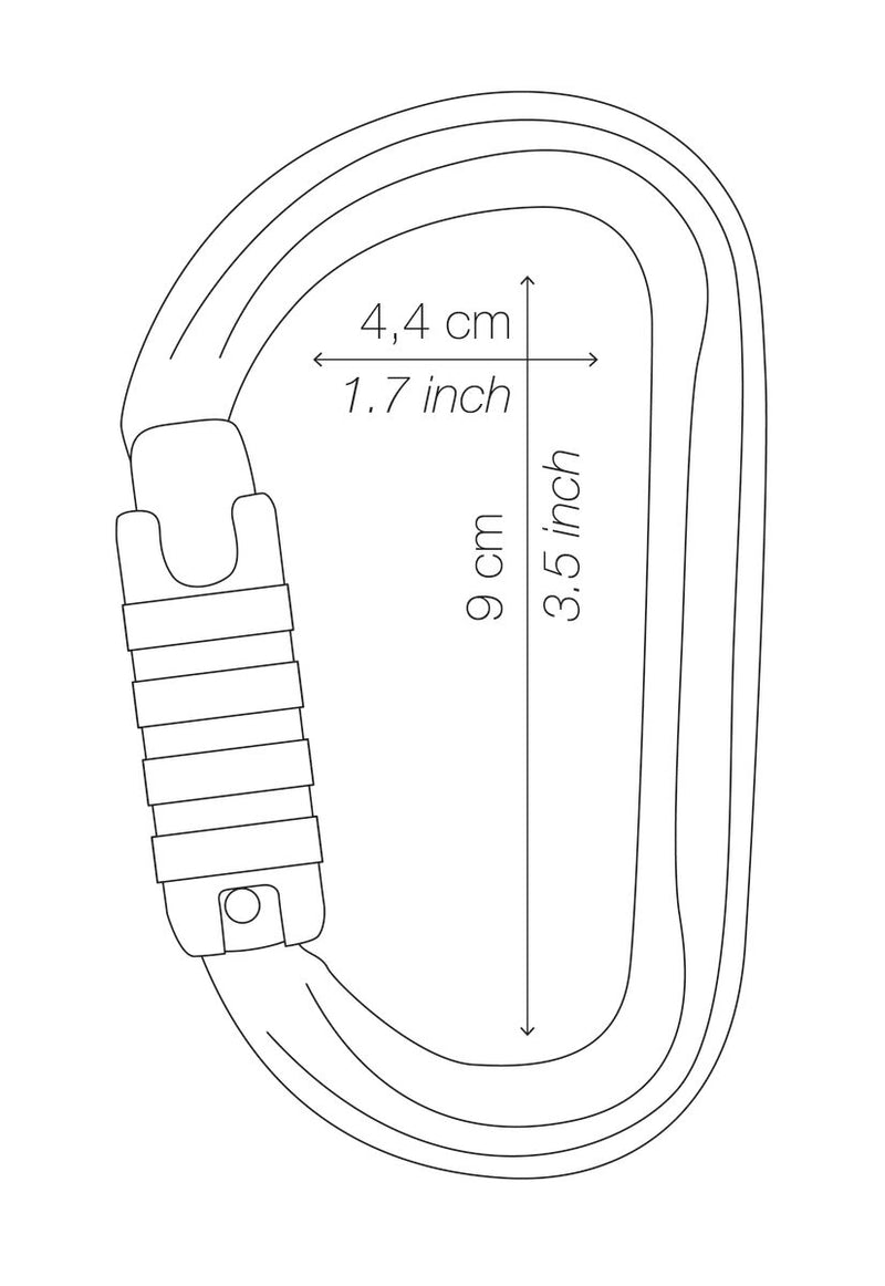 Petzl Am’D Asymmetrical Carabiner TRIACT-LOCK GRAY